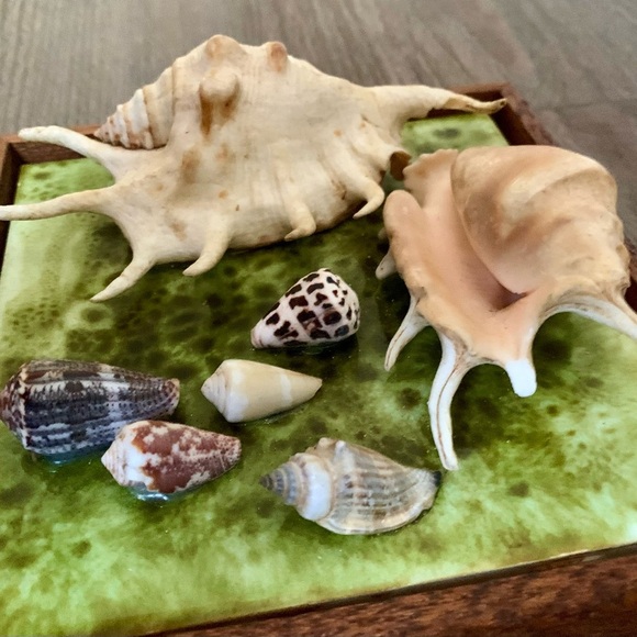 Framed Oceanside Wall Decor Seashell - Picture 7 of 10